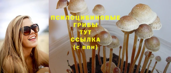 мяу мяу мука Покров