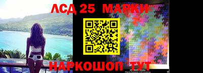 гидропоника Тула