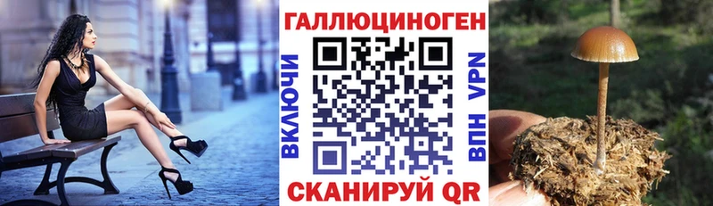 Псилоцибиновые грибы MAGIC MUSHROOMS Отрадное