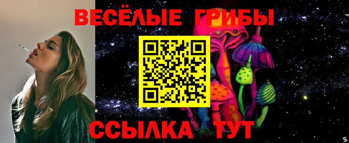 Псилоцибиновые грибы GOLDEN TEACHER Отрадное