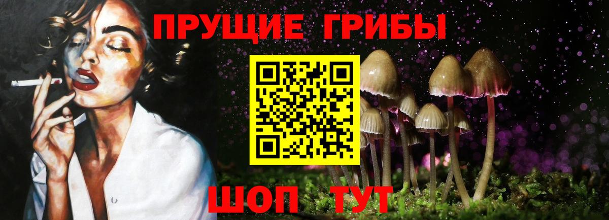 Отрадное  Галлюциногенные грибы GOLDEN TEACHER  Вход с VPN  Галлюциногенные грибы мицелий 